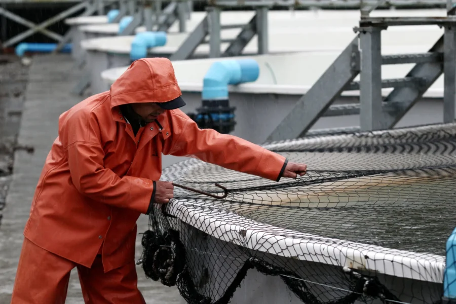 Acuicultura y pesca